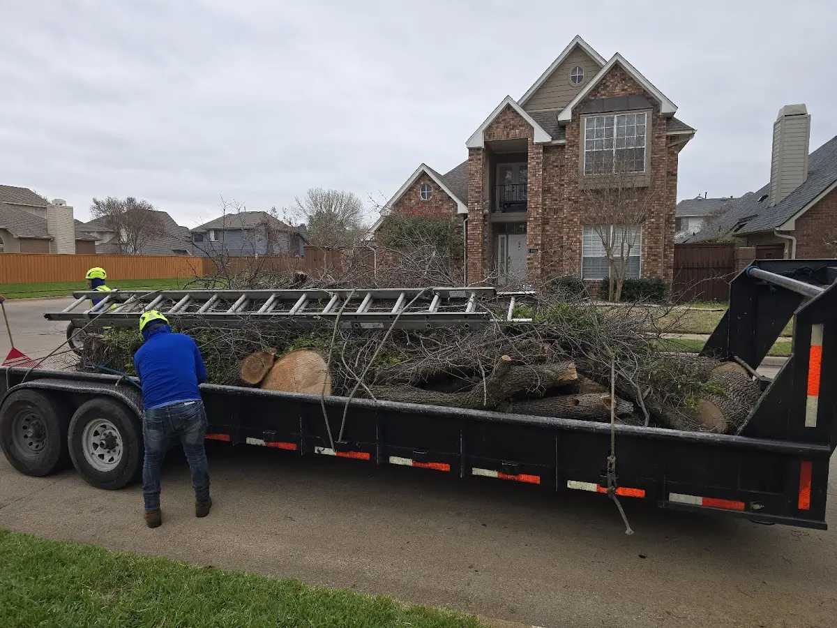 Expert Tree Fertilization with proper safety equipment in Oak View